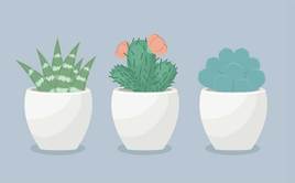 html5svg绘制盆栽植物动画特效