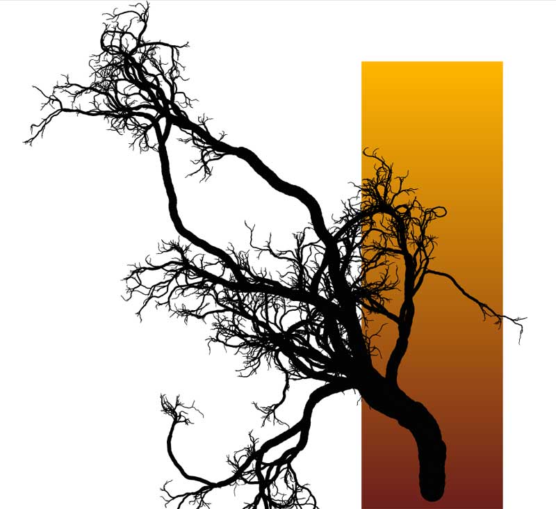 html5canvas绘制树生长动画