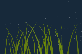 html5canvas绘制海底海藻动