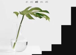 html5svg全屏百叶窗图片切换特