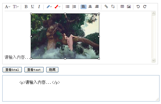 html网页富文本编辑器插件wang