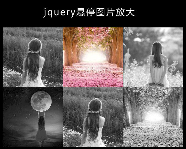jQuery鼠标悬停图片变色放大显示