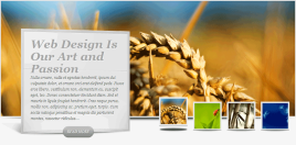 jquery.flexslider.