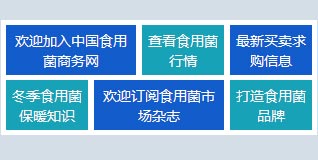 jQueryhovermetro风格