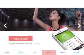 jQuery左右按钮控制带标签选项卡