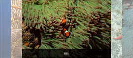 简单的,jquery手风琴插件带标题