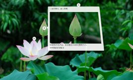 jqueryhotspot图片焦点区