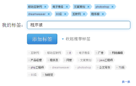 jquery定制我的标签与默认选择我