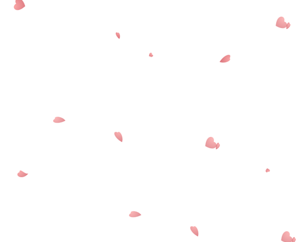 jQuerycss3全屏花瓣飘落动画